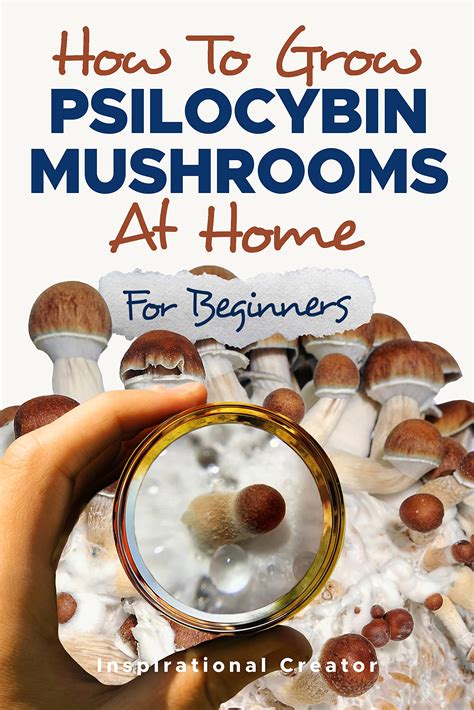 how to grow psilocybin mushrooms at home